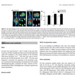 Eur.J.Immunol._Bildschirmfoto_2018-05-14